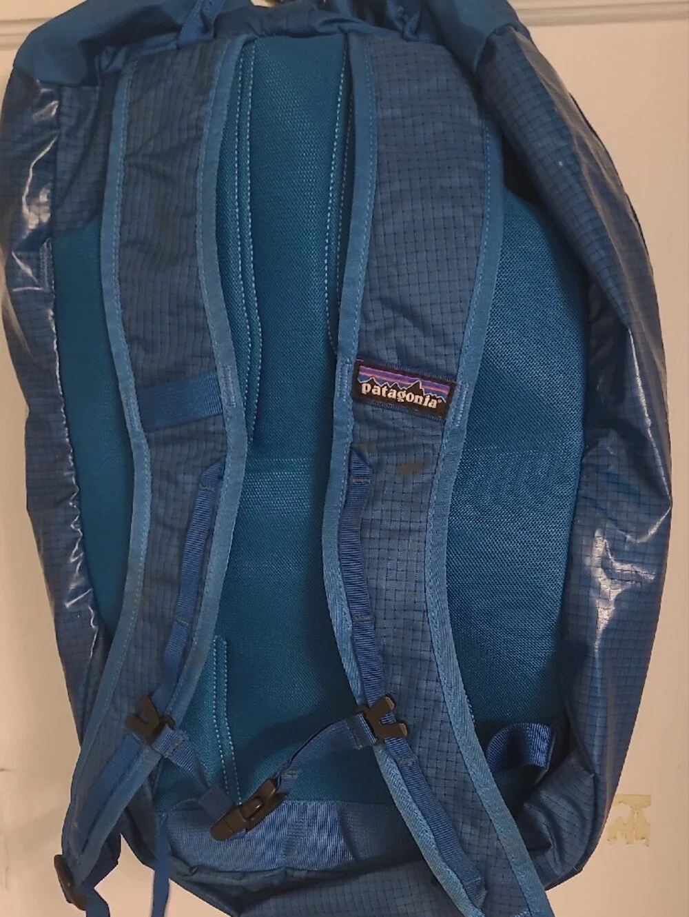 Patagonia Black Lightweight Roll-Top Pack